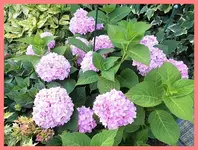 012.webp