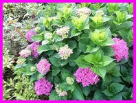 013.webp