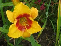 allways a pleasure2_1024x768.webp