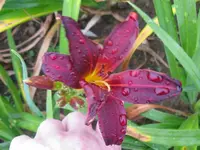 stayford_1024x768.webp