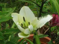 009_1024x768.webp