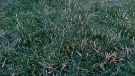 Bild221 012.webp