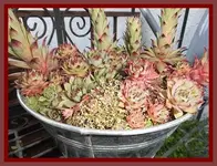 014.webp
