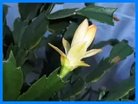 019.webp