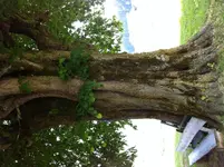 image.webp image.webp