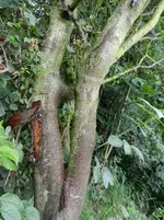 DSCN9527.webp
