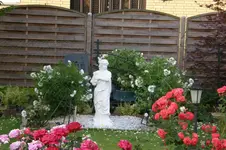 P6201670.webp