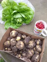 20140629_172256.webp