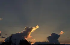 Elefantenherde.webp
