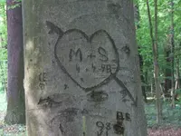 Bild 420.webp
