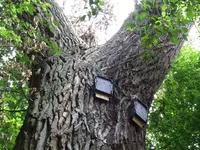 DSCF1541.webp