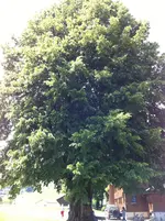 image 2.webp