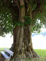 image 3.webp
