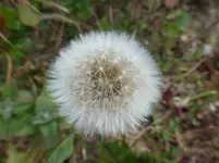 P1130486.webp