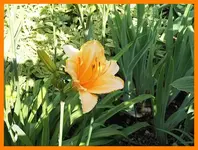 027.webp