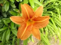 Bild 1450.webp