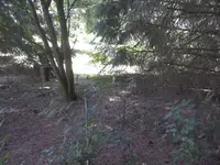 BILD2982.webp