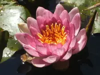 BILD3024.webp
