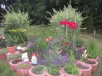 DSCF2743 II.webp