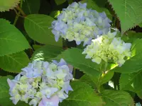 SAM_4782.webp