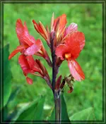 comp_DSC07006.webp