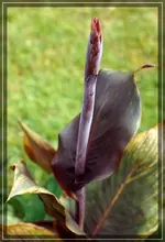 comp_DSC07008.webp