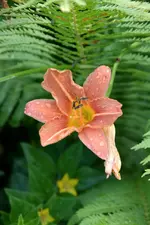 DSC_1978.webp