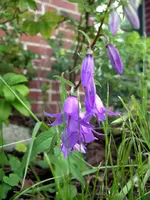 IMGP6719.webp