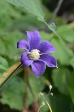 DSC_1956.webp