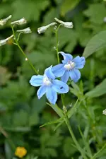DSC_1959.webp