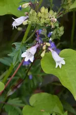 DSC_1960.webp
