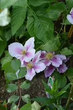 DSC_1964.webp
