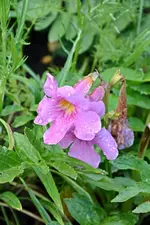 DSC_1975.webp