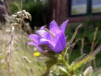 IMGP6729.webp