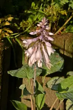 DSC_1988.webp