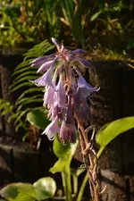 DSC_1989.webp