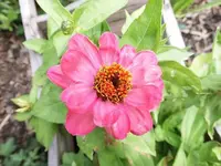 039.webp