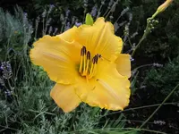 026.webp