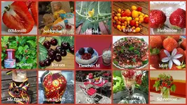 Juni 2014 suesse Fruechtchen.webp