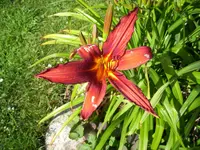 100_1557.webp