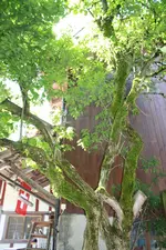 IMG_7058.webp
