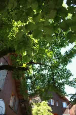 IMG_7059.webp