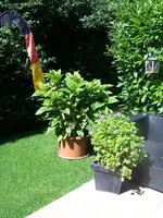 100_3925.webp