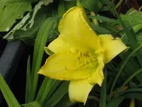 bells apealing_1024x768.webp
