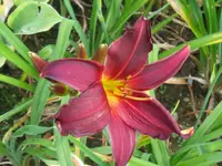 stayford_1024x768.webp