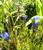DSCN8834HG.webp