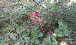 IMAG0819.webp