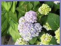 026.webp