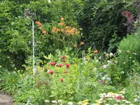 010.webp
