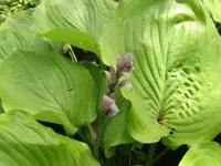 Bild 1338.webp